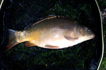 foto/diskuze/z_lovu/2013/th-img98291.jpg