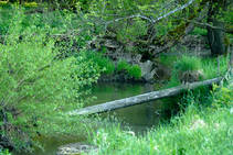 foto/diskuze/z_lovu/2013/th-img98298.jpg