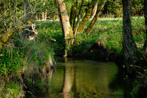 foto/diskuze/z_lovu/2013/th-img98299.jpg