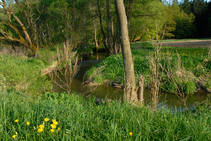 foto/diskuze/z_lovu/2013/th-img98300.jpg