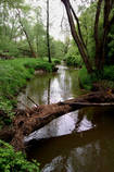 foto/diskuze/z_lovu/2013/th-img98391.jpg
