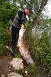 foto/diskuze/z_lovu/2013/th-img98416.jpg