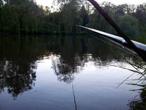 foto/diskuze/z_lovu/2013/th-img98473.jpg