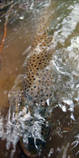 foto/diskuze/z_lovu/2013/th-img98541.jpg