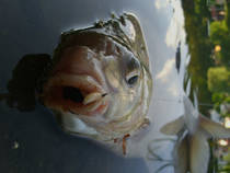 foto/diskuze/z_lovu/2013/th-img98575.jpg