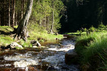 foto/diskuze/z_lovu/2013/th-img98589.jpg