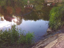 foto/diskuze/z_lovu/2013/th-img98645.jpg