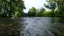 foto/diskuze/z_lovu/2013/th-img98760.jpg