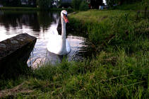 foto/diskuze/z_lovu/2013/th-img98860.jpg
