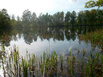 foto/diskuze/z_lovu/2013/th-img98931.jpg