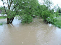 foto/diskuze/z_lovu/2013/th-img98949.jpg