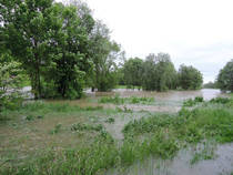 foto/diskuze/z_lovu/2013/th-img98950.jpg