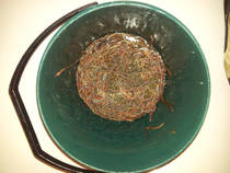 foto/diskuze/z_lovu/2013/th-img98962.jpg