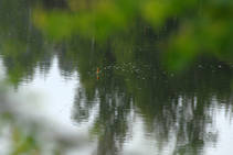 foto/diskuze/z_lovu/2013/th-img98989.jpg