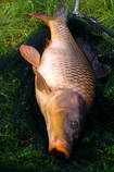 foto/diskuze/z_lovu/2013/th-img99044.jpg
