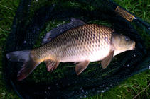 foto/diskuze/z_lovu/2013/th-img99258.jpg