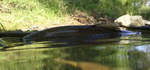 foto/diskuze/z_lovu/2013/th-img99266.jpg