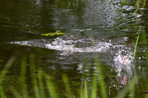 foto/diskuze/z_lovu/2013/th-img99294.jpg