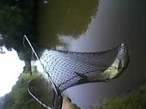 foto/diskuze/z_lovu/2013/th-img99356.jpg