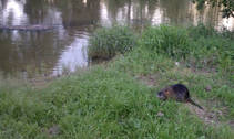 foto/diskuze/z_lovu/2013/th-img99413.jpg