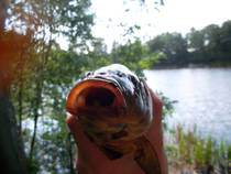 foto/diskuze/z_lovu/2013/th-img99492.jpg