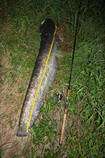 foto/diskuze/z_lovu/2013/th-img99541.jpg