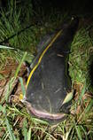 foto/diskuze/z_lovu/2013/th-img99543.jpg