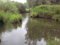 foto/diskuze/z_lovu/2013/th-img99623.jpg