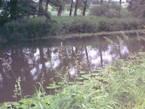 foto/diskuze/z_lovu/2013/th-img99624.jpg