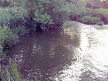 foto/diskuze/z_lovu/2013/th-img99811.jpg