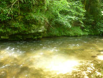 foto/diskuze/z_lovu/2013/th-img99905.jpg