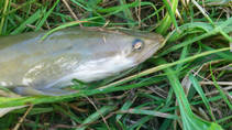 foto/diskuze/z_lovu/2013/th-img99908.jpg