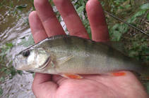 foto/diskuze/z_lovu/2013/th-img99939.jpg