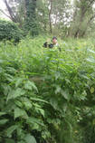 foto/diskuze/z_lovu/2013/th-img99940.jpg