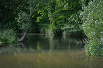 foto/diskuze/z_lovu/2013/th-img99978.jpg