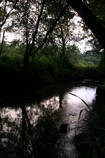 foto/diskuze/z_lovu/2013/th-img99985.jpg