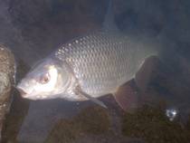 foto/diskuze/z_lovu/2014/th-img104090.jpg