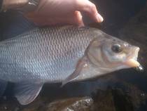 foto/diskuze/z_lovu/2014/th-img104091.jpg