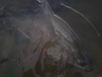 foto/diskuze/z_lovu/2014/th-img104092.jpg