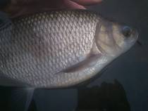 foto/diskuze/z_lovu/2014/th-img104749.jpg