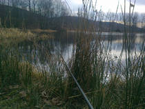 foto/diskuze/z_lovu/2014/th-img104975.jpg