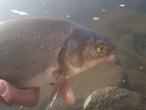 foto/diskuze/z_lovu/2014/th-img105396.jpg