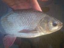 foto/diskuze/z_lovu/2014/th-img105397.jpg