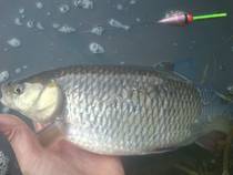 foto/diskuze/z_lovu/2014/th-img105413.jpg