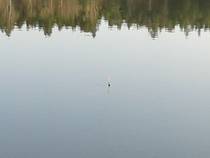 foto/diskuze/z_lovu/2014/th-img105482.jpg