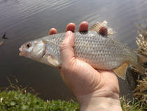 foto/diskuze/z_lovu/2014/th-img105630.jpg