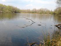 foto/diskuze/z_lovu/2014/th-img105884.jpg