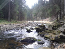 foto/diskuze/z_lovu/2014/th-img106160.jpg