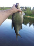 foto/diskuze/z_lovu/2014/th-img106425.jpg
