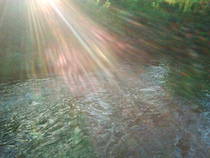 foto/diskuze/z_lovu/2014/th-img107076.jpg